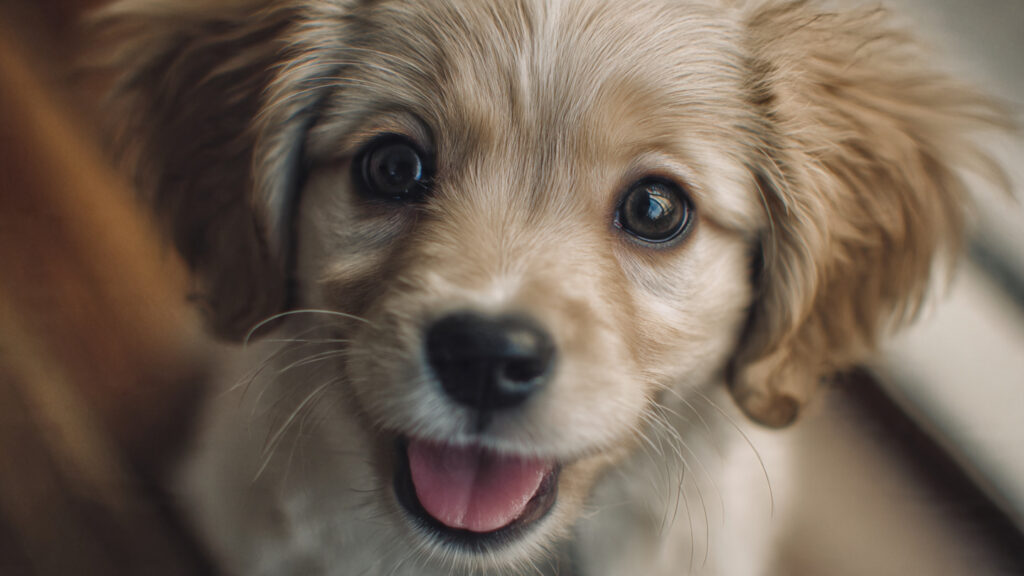 Cute & Adorable Names