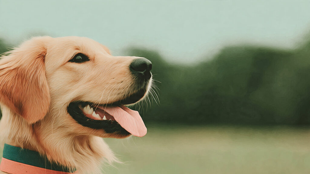 Unique Male Dog Names